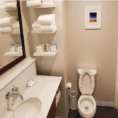 Hampton Inn And Suites Snyder Extérieur photo